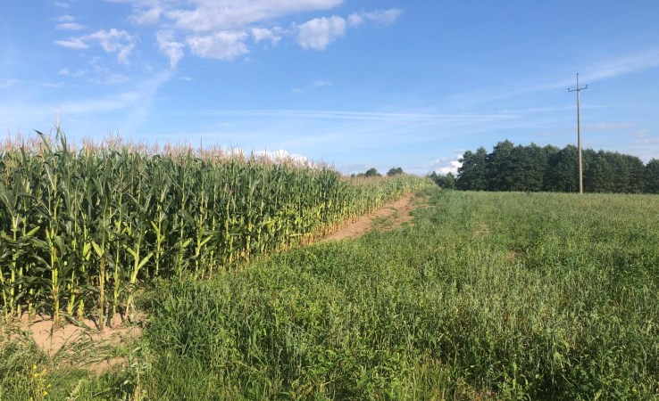 działka na sprzedaż - Prostki, Guty Rożyńskie