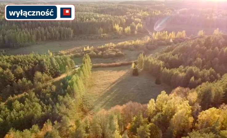 działka na sprzedaż - Pozezdrze, Kuty