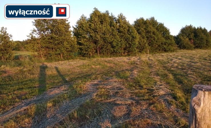 działka na sprzedaż - Choczewo, Sasino