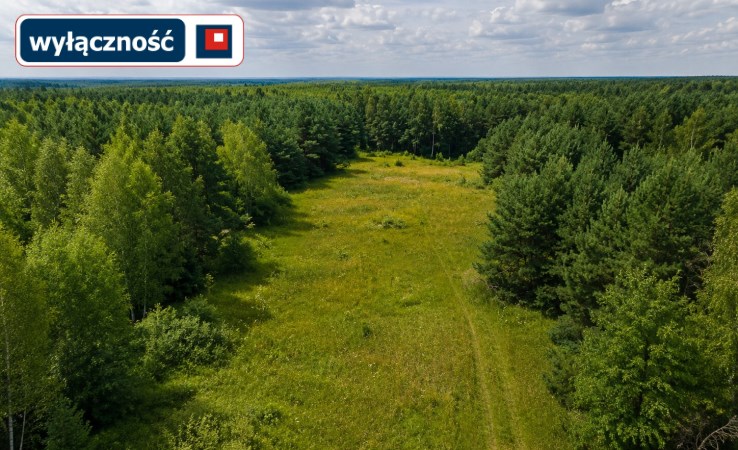 działka na sprzedaż - Pisz (gw), Snopki